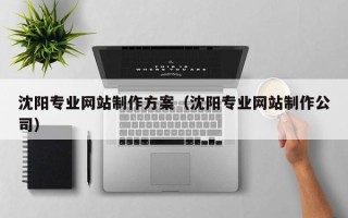 屯昌沈阳专业网站制作方案（沈阳专业网站制作公司）